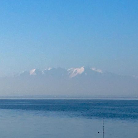 Bella Vista ,Acces Direct Plage, Front De Mer, Vue Mer Panoramique Le Barcarès Dış mekan fotoğraf